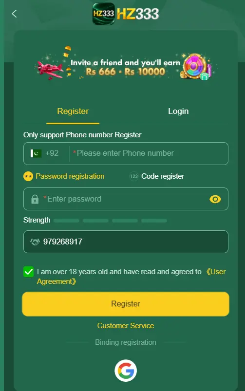 HZ333